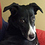 Richard_Coutts